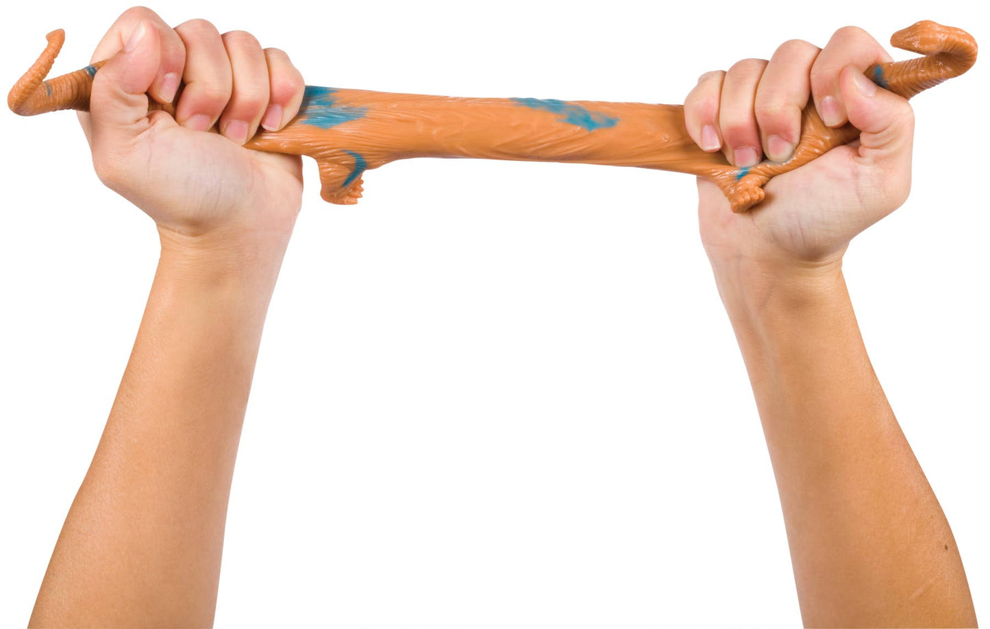 Dino Squishimals, Assorted Size & Colors - Persnickety Shop