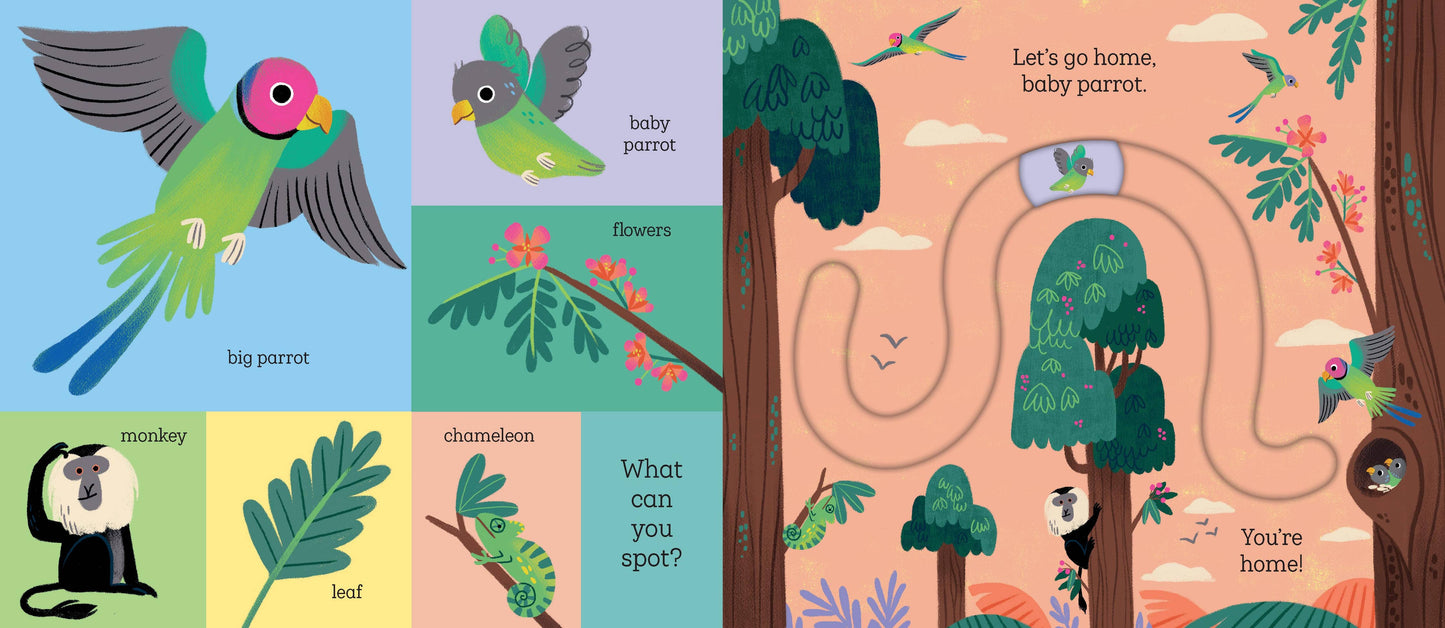 Let's Go Home, Baby Tiger: Board Book
