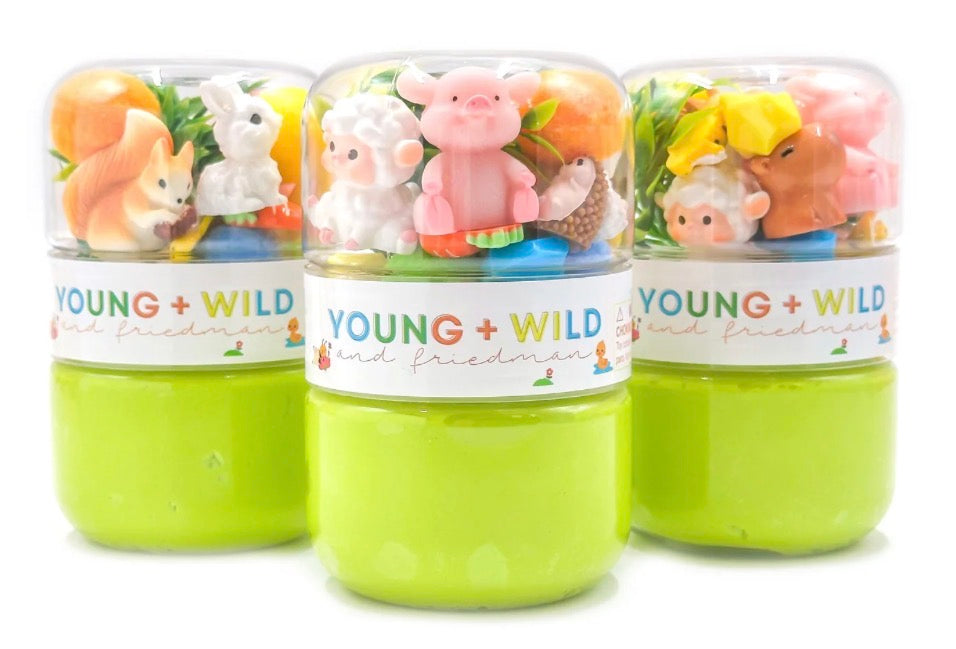 Spring Animals Grab & Go Dough Jar - Persnickety Shop