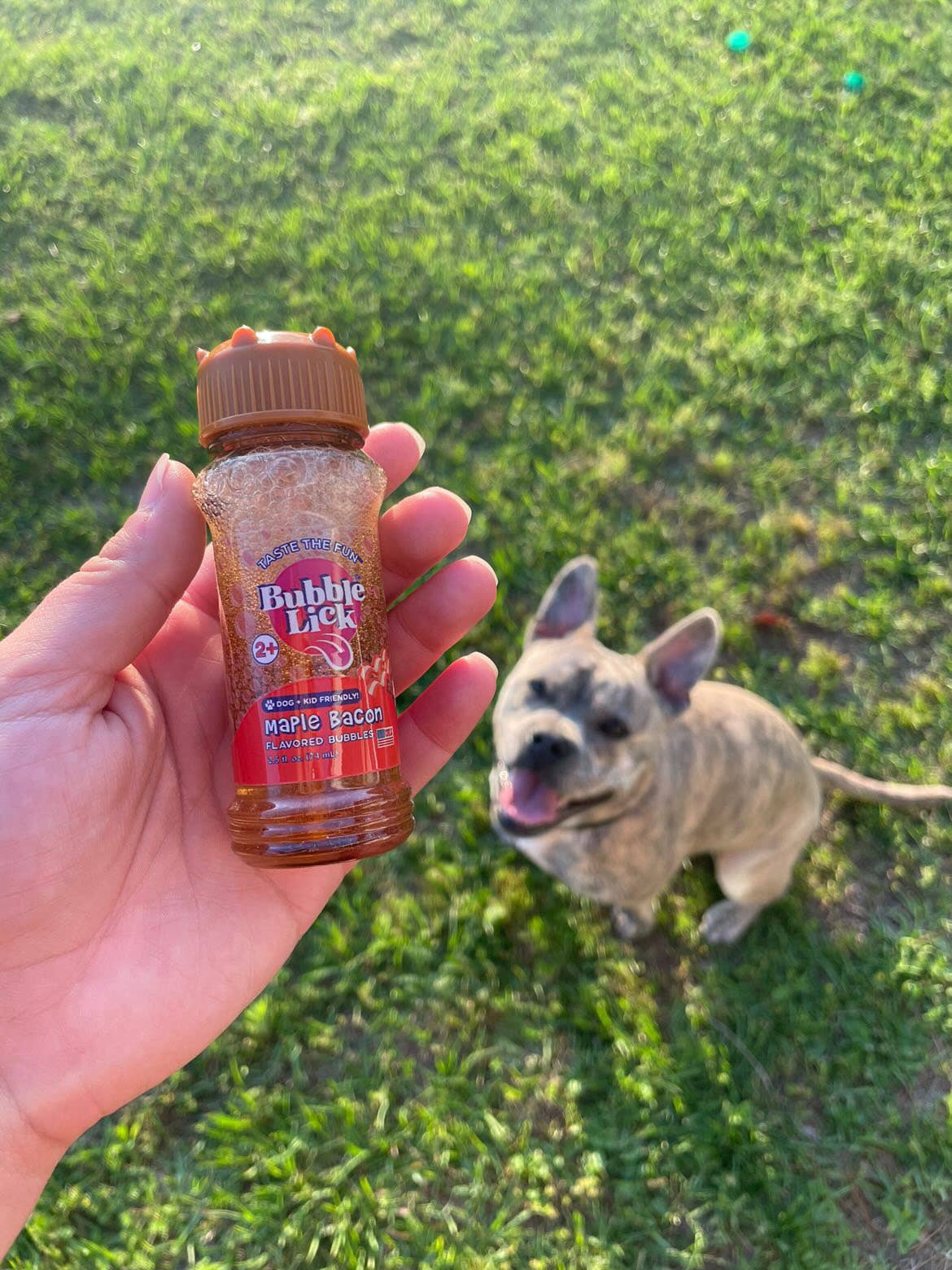 BubbleLick™ Pets Maple Bacon - Persnickety Shop
