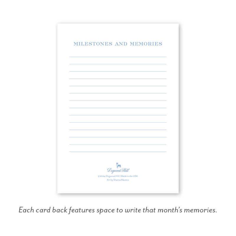 GINGHAM BLUE BABY MILESTONE CARDS - Persnickety Shop