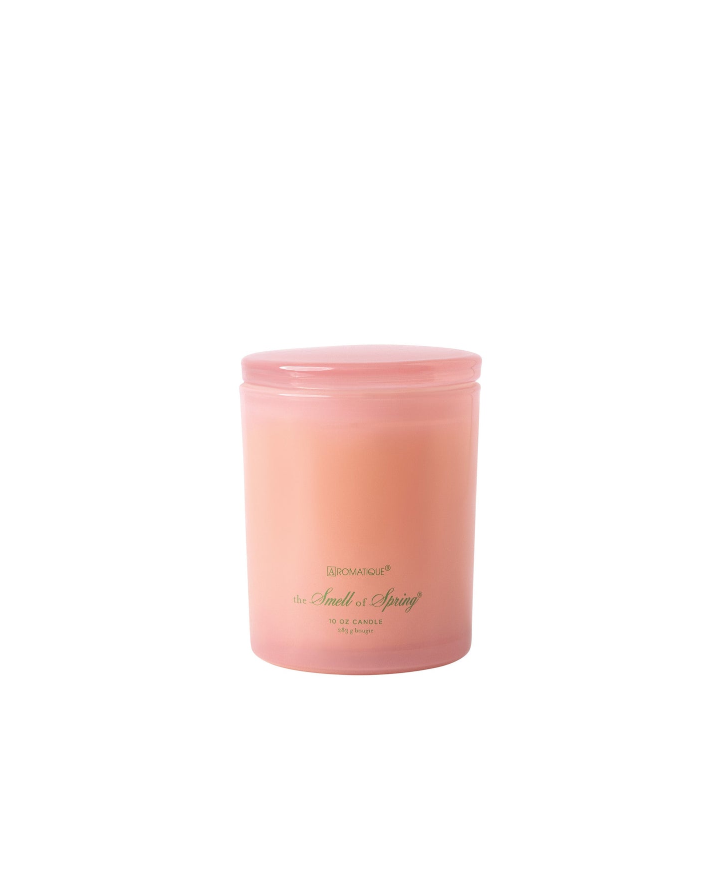 The Smell Of Spring Foundry Candle - Persnickety Shop