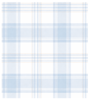 Baby Dunn BLUE PLAID | TOTE - Persnickety Shop
