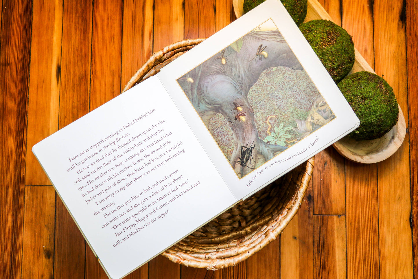 The Classic Tale of Peter Rabbit Touch and Feel Board Book - Persnickety Shop
