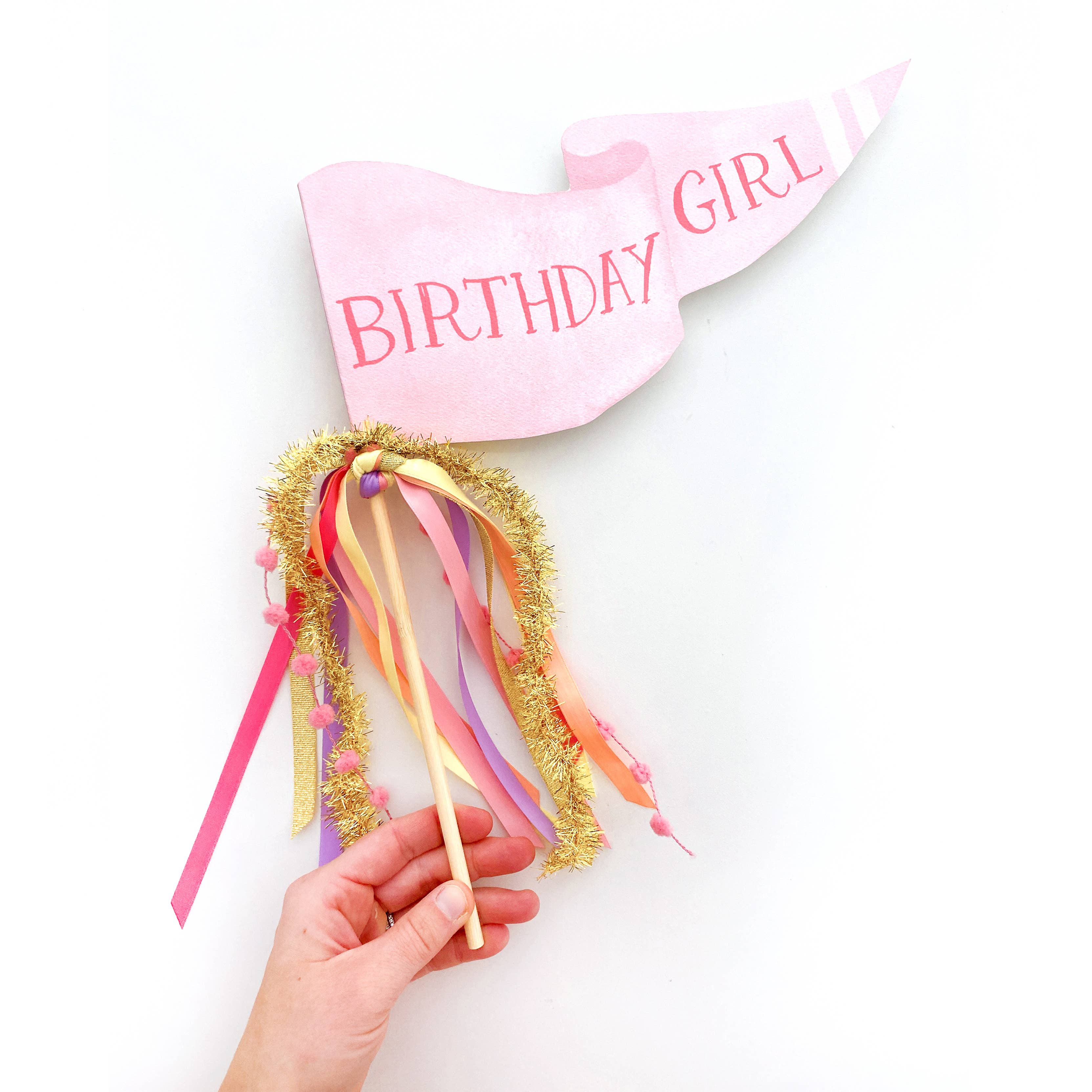 Cami Monet Birthday Girl Party Pennant