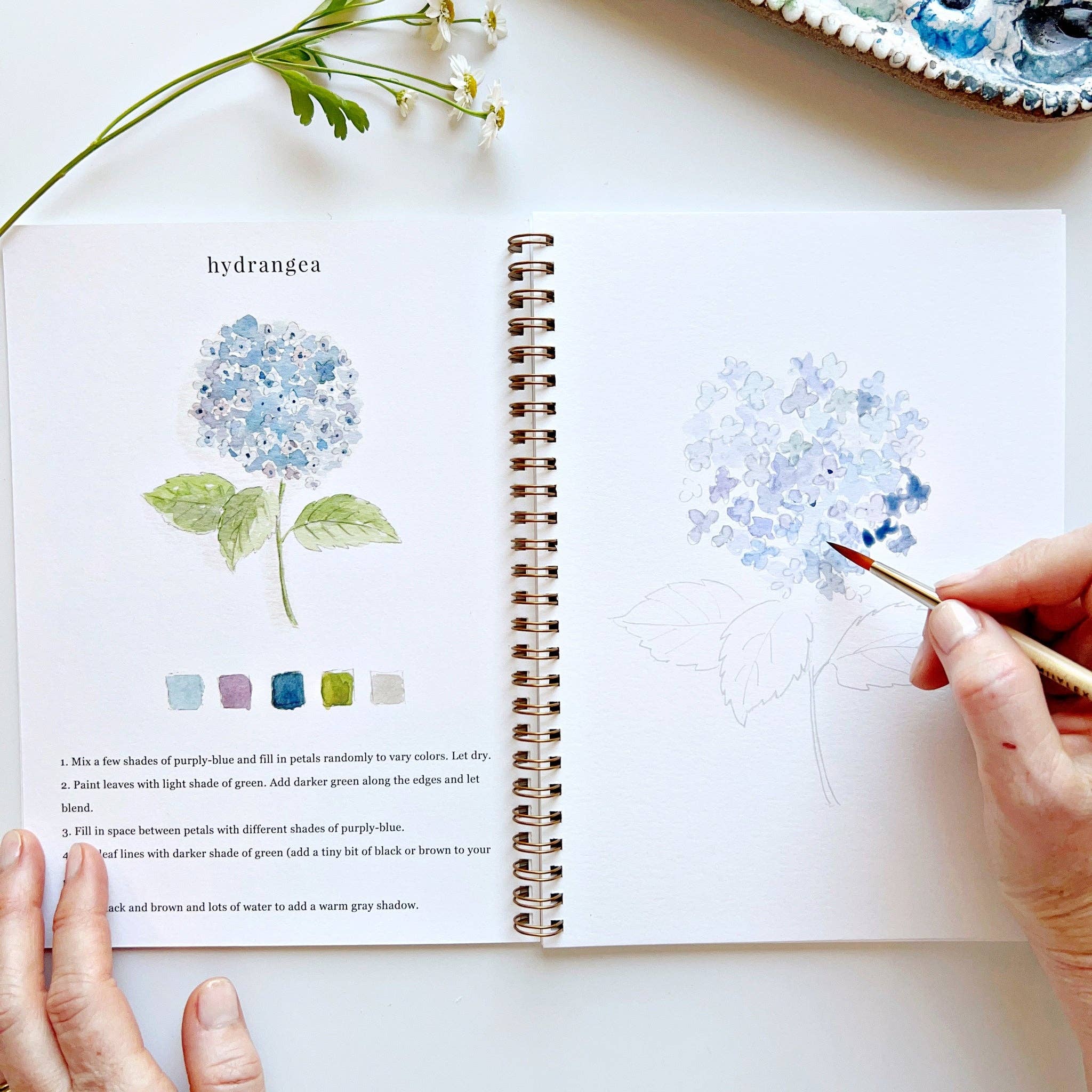 Flowers watercolor workbook - Persnickety Shop