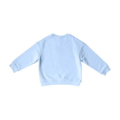 Big Bro Sweatshirt (sizes 12m - 8): 12-18 months - Persnickety Shop