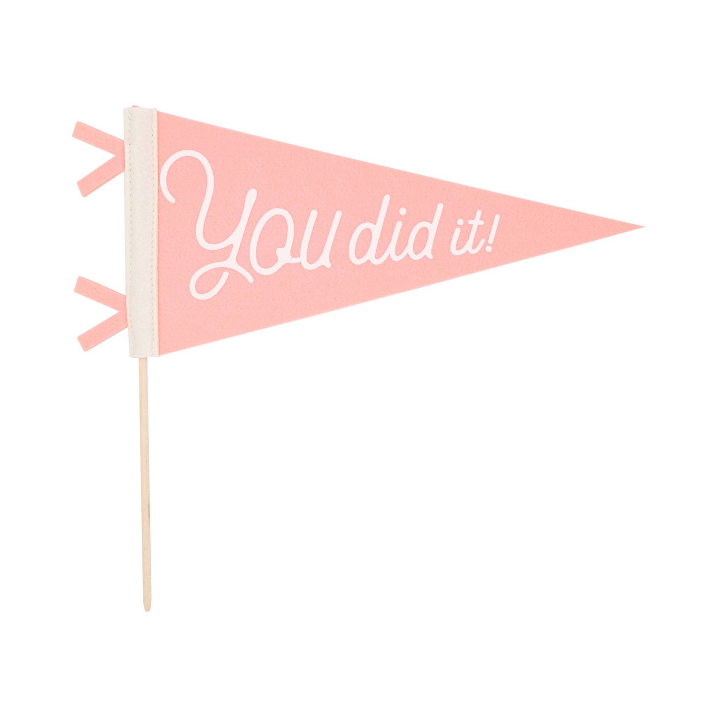 PLHB148 - Pink You Did It Felt Pennant Banner - Persnickety Shop