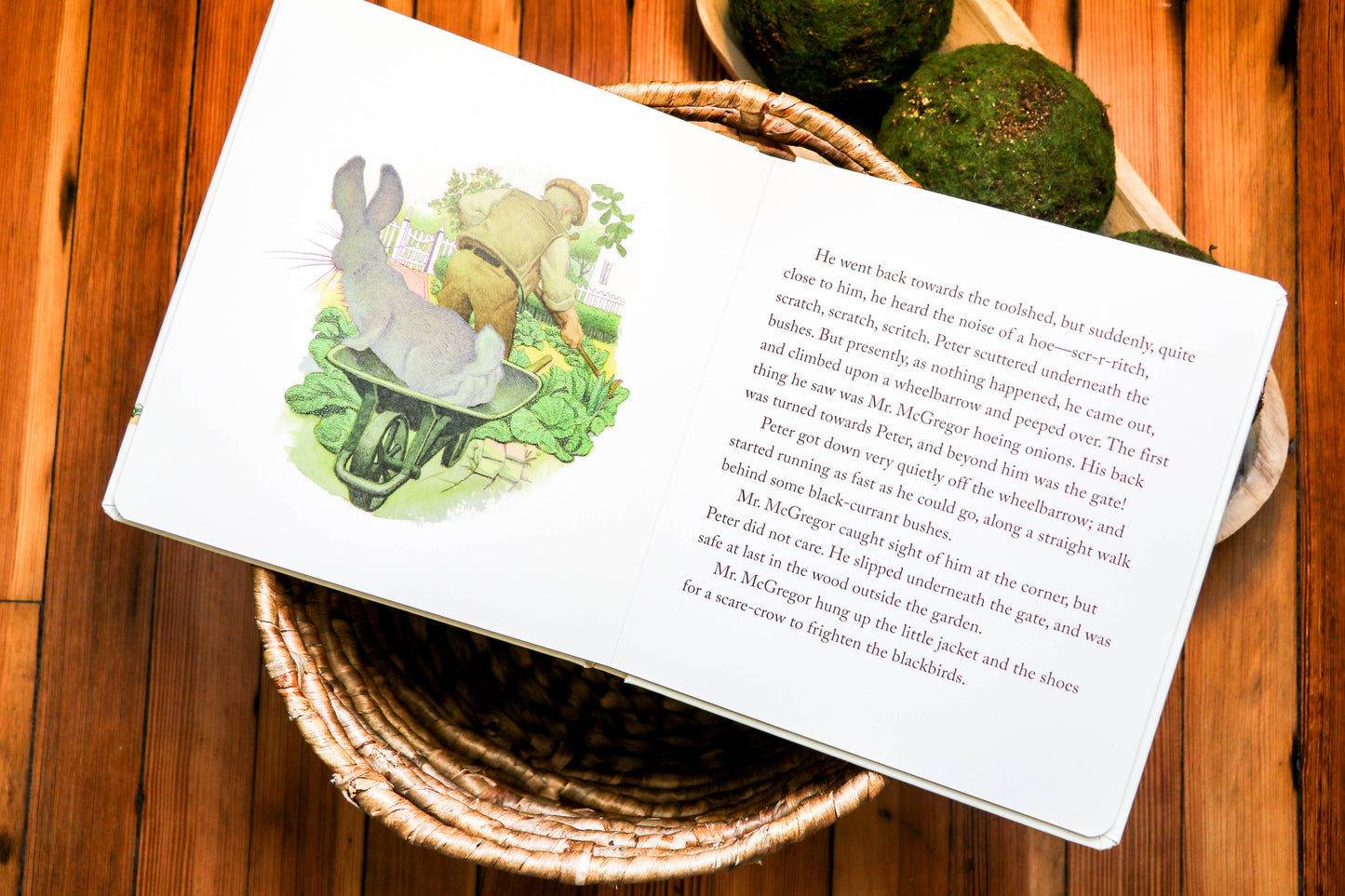 The Classic Tale of Peter Rabbit Touch and Feel Board Book - Persnickety Shop