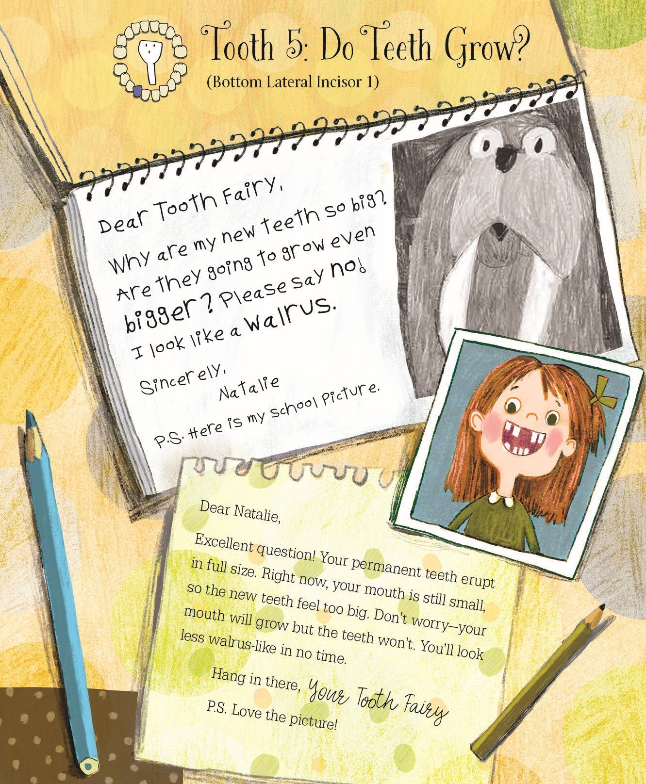 Letters from My Tooth Fairy Picture Book - Persnickety Shop