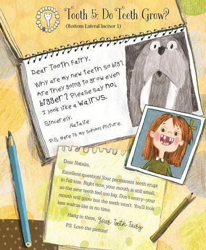 Letters from My Tooth Fairy Picture Book - Persnickety Shop