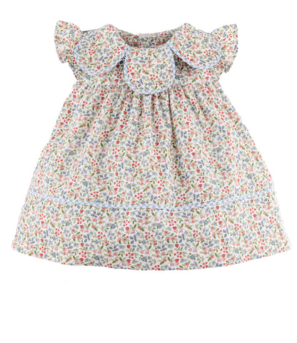 Sophie & Lucas Americana Petal Float, Print - Persnickety Shop