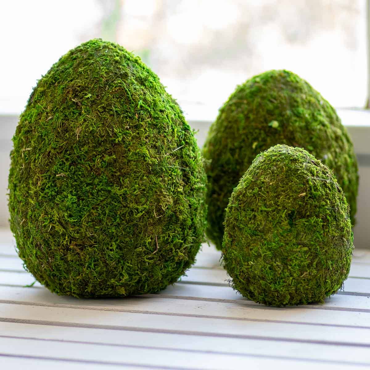 Moss Egg Decor   Green   6.5"