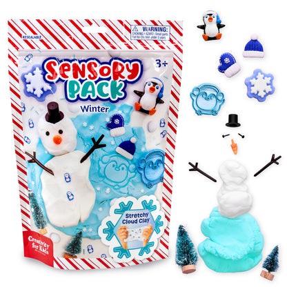 Sensory Pack Winter and Holiday Play Kit for Children