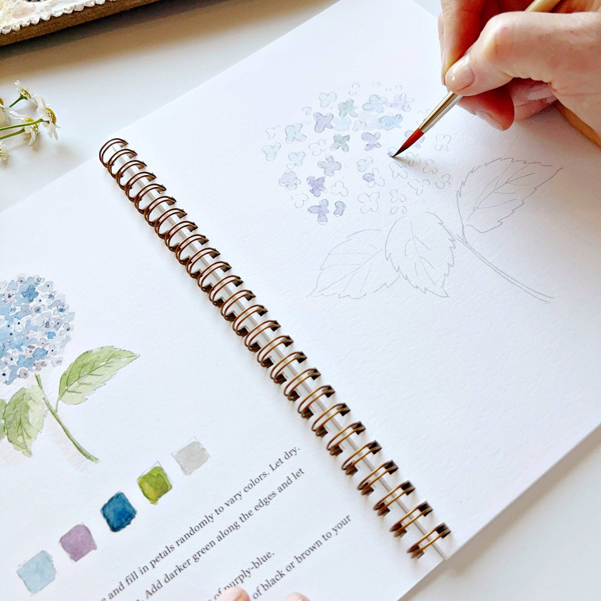 Flowers watercolor workbook - Persnickety Shop