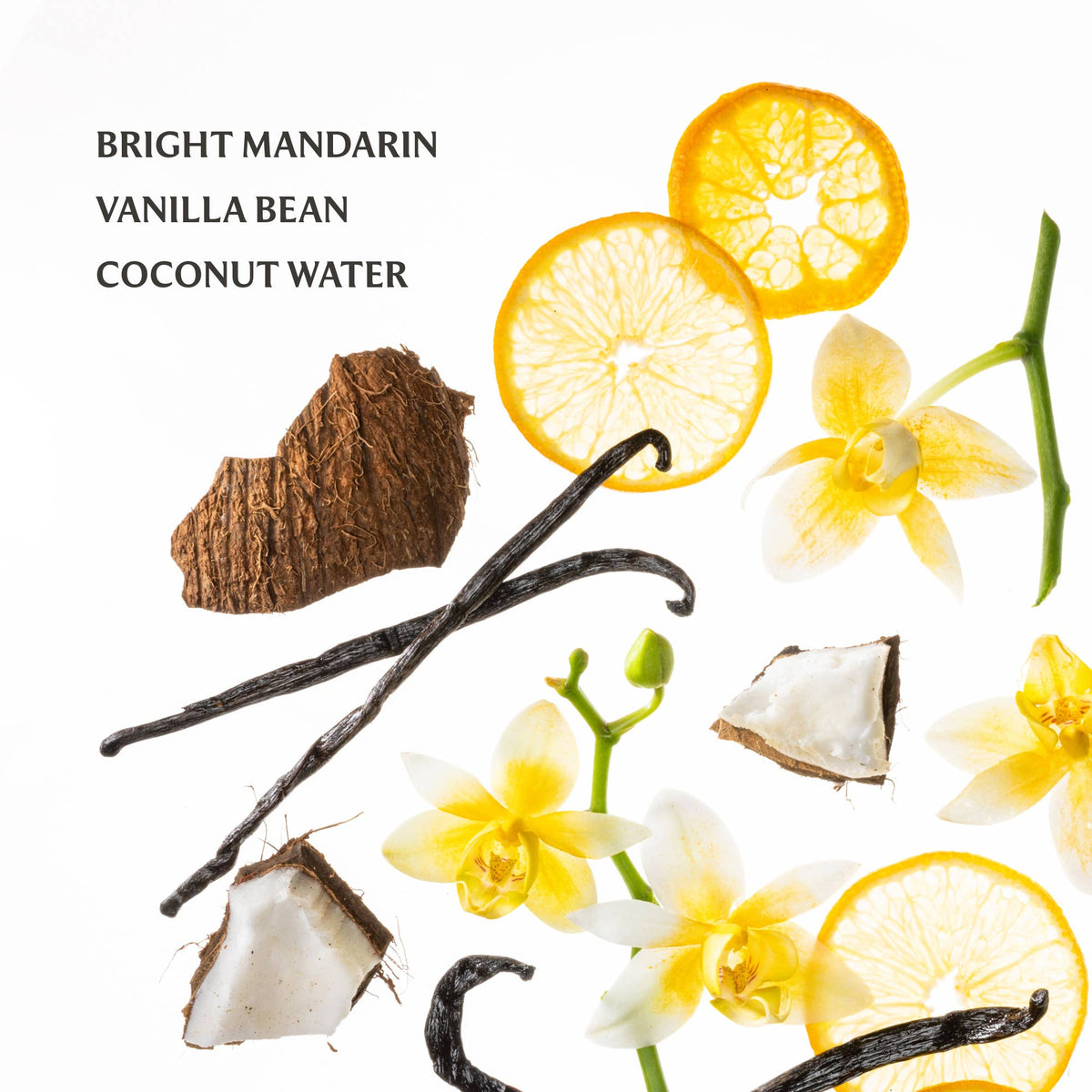 Vanilla Blossom Power Mist Hydrating Hand Sanitizer - Persnickety Shop