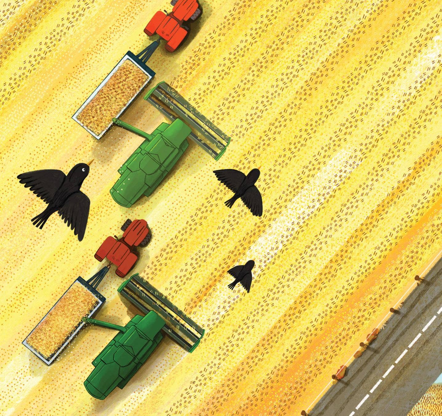 Seasons on the Farm Picture Book - Persnickety Shop