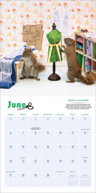 Secret Life of Squirrels Wall Calendar 2027