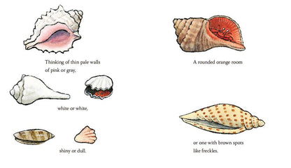 Little Houses: Kevin Henkes - Persnickety Shop