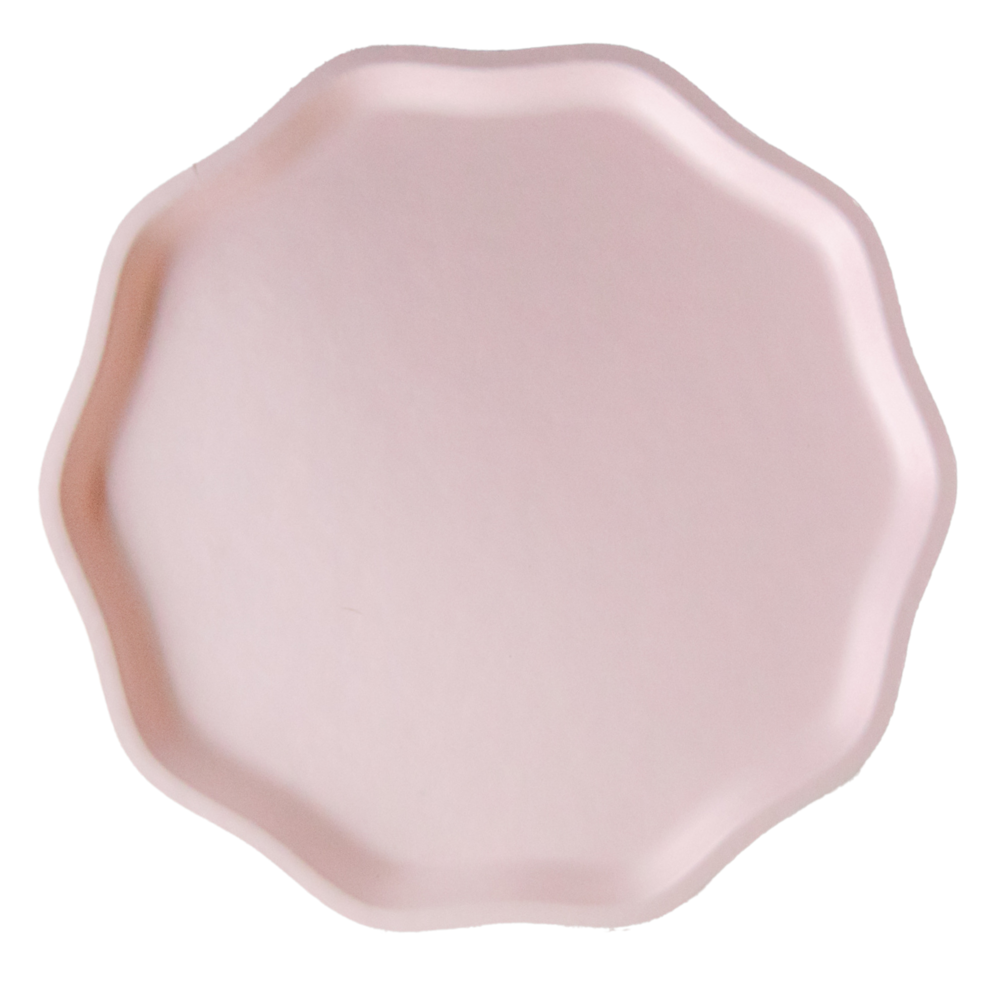 PETAL PINK COMPOSTABLE DINNER PLATES - Persnickety Shop