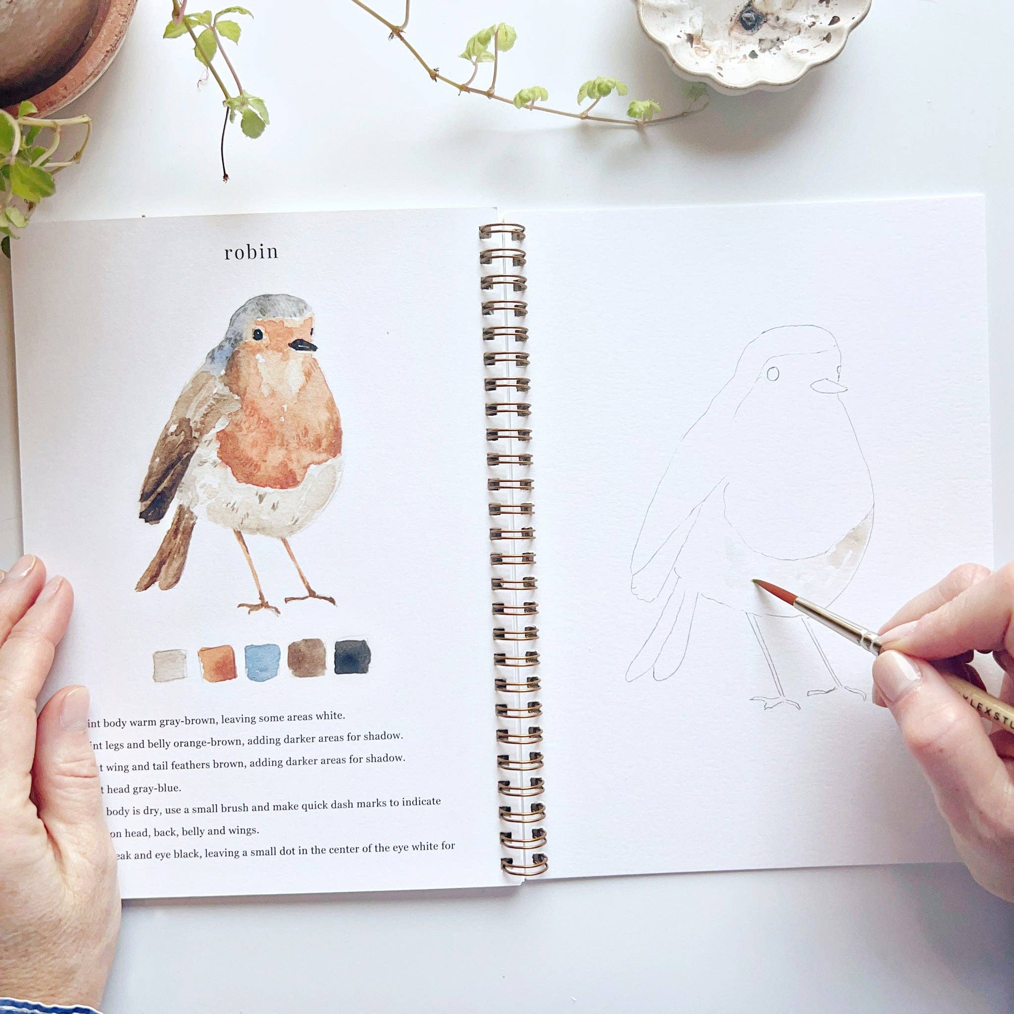 Birds watercolor workbook - Persnickety Shop