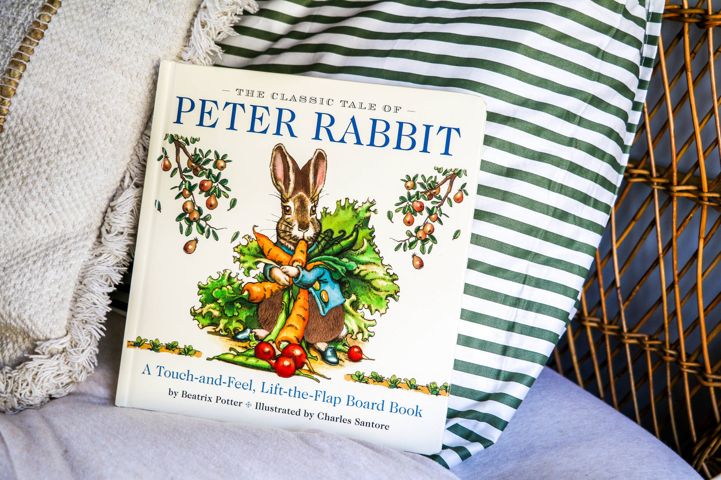 The Classic Tale of Peter Rabbit Touch and Feel Board Book - Persnickety Shop
