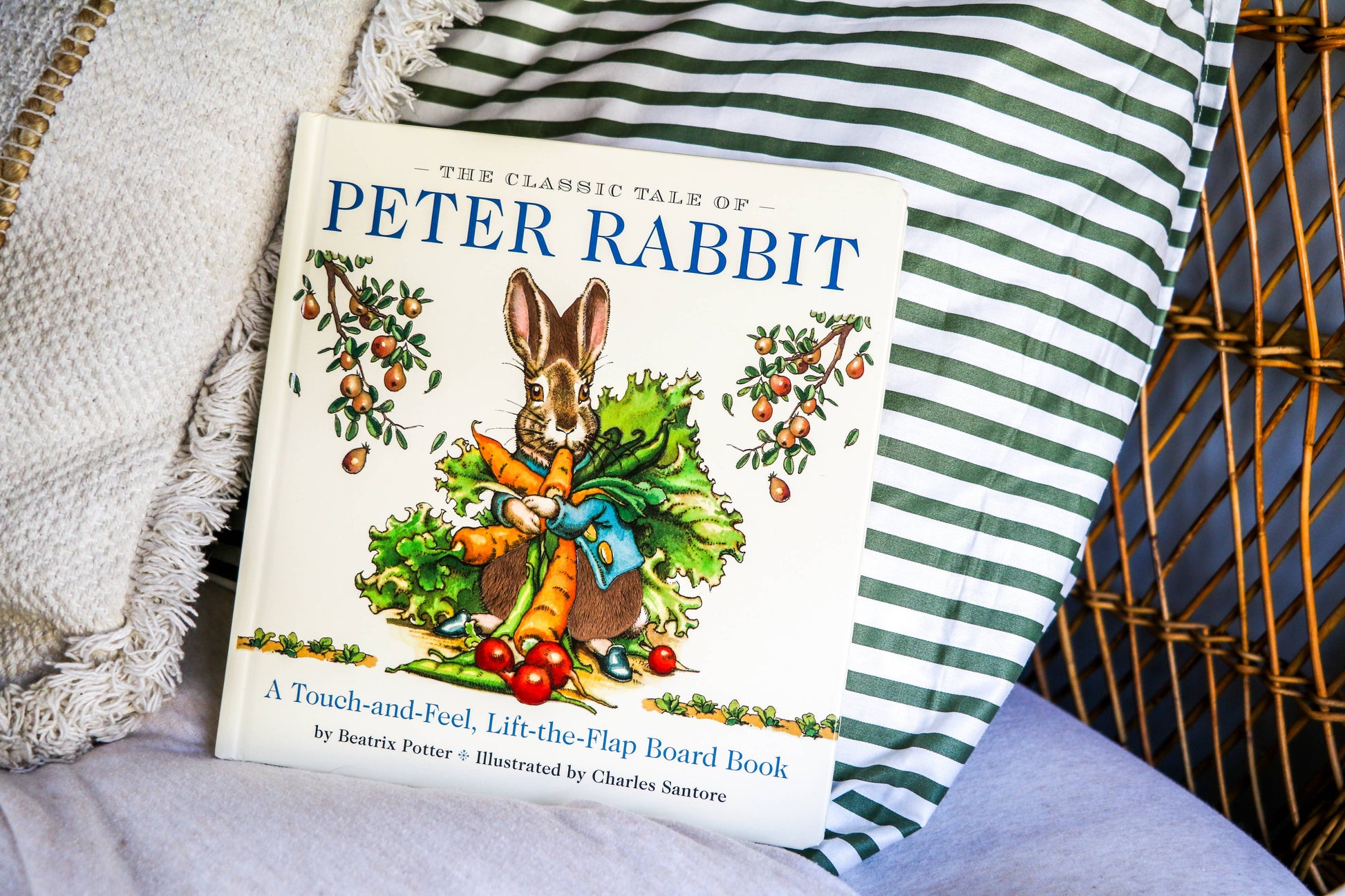 The Classic Tale of Peter Rabbit Touch and Feel Board Book - Persnickety Shop