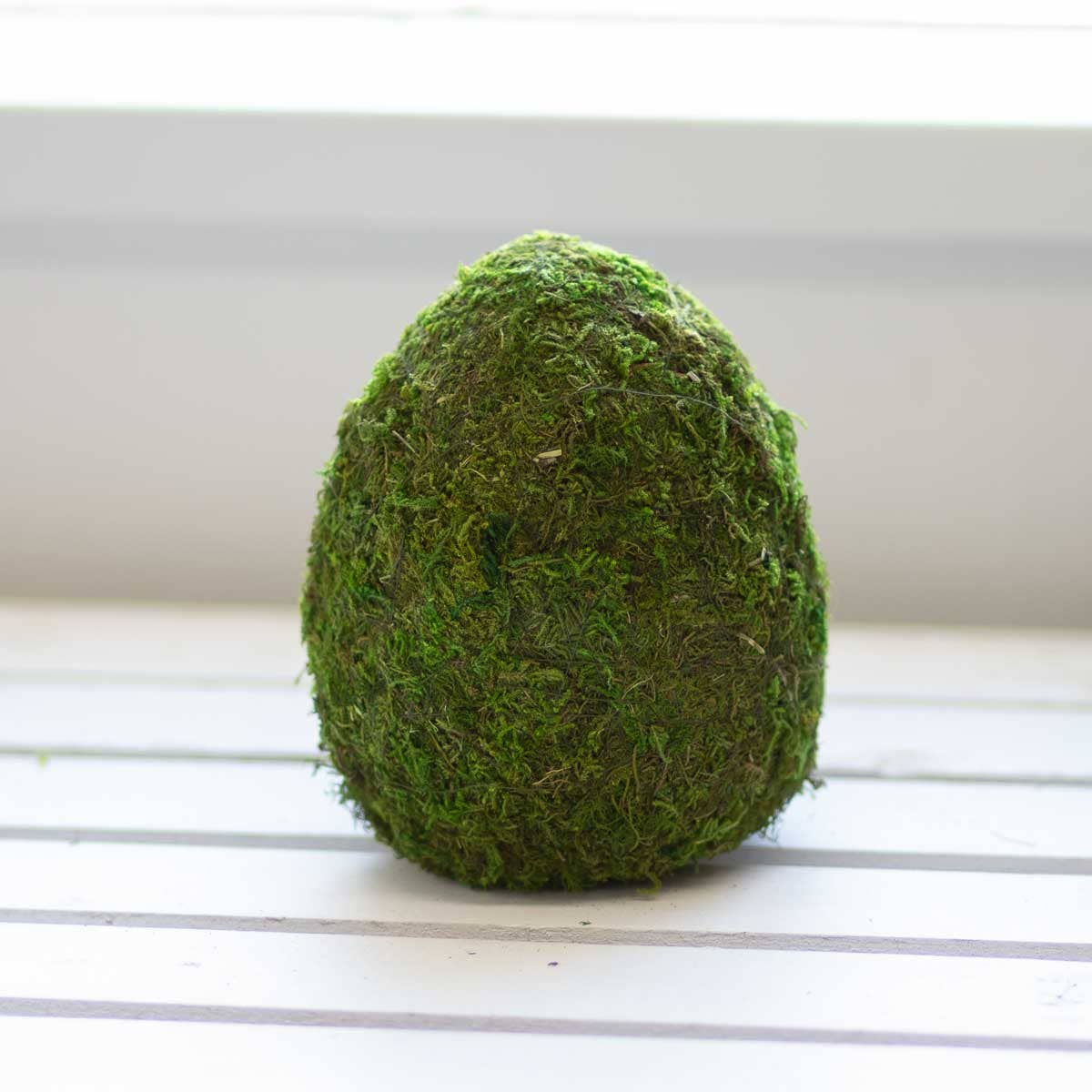 Moss Egg Decor   Green   6.5"