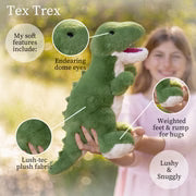 Beverly Hills Teddy Bear World's Softest Plush - World's Softest Plush - Large Lushee - Tex Trex T-Rey Lushee 16 inches - Persnickety Shop