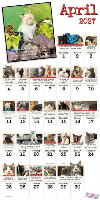 Bad Cat Wall Calendar 2027