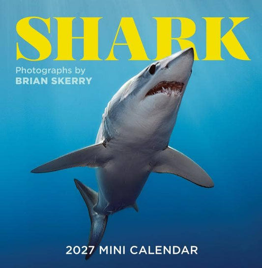 Shark Mini Wall Calendar 2027 - Persnickety Shop