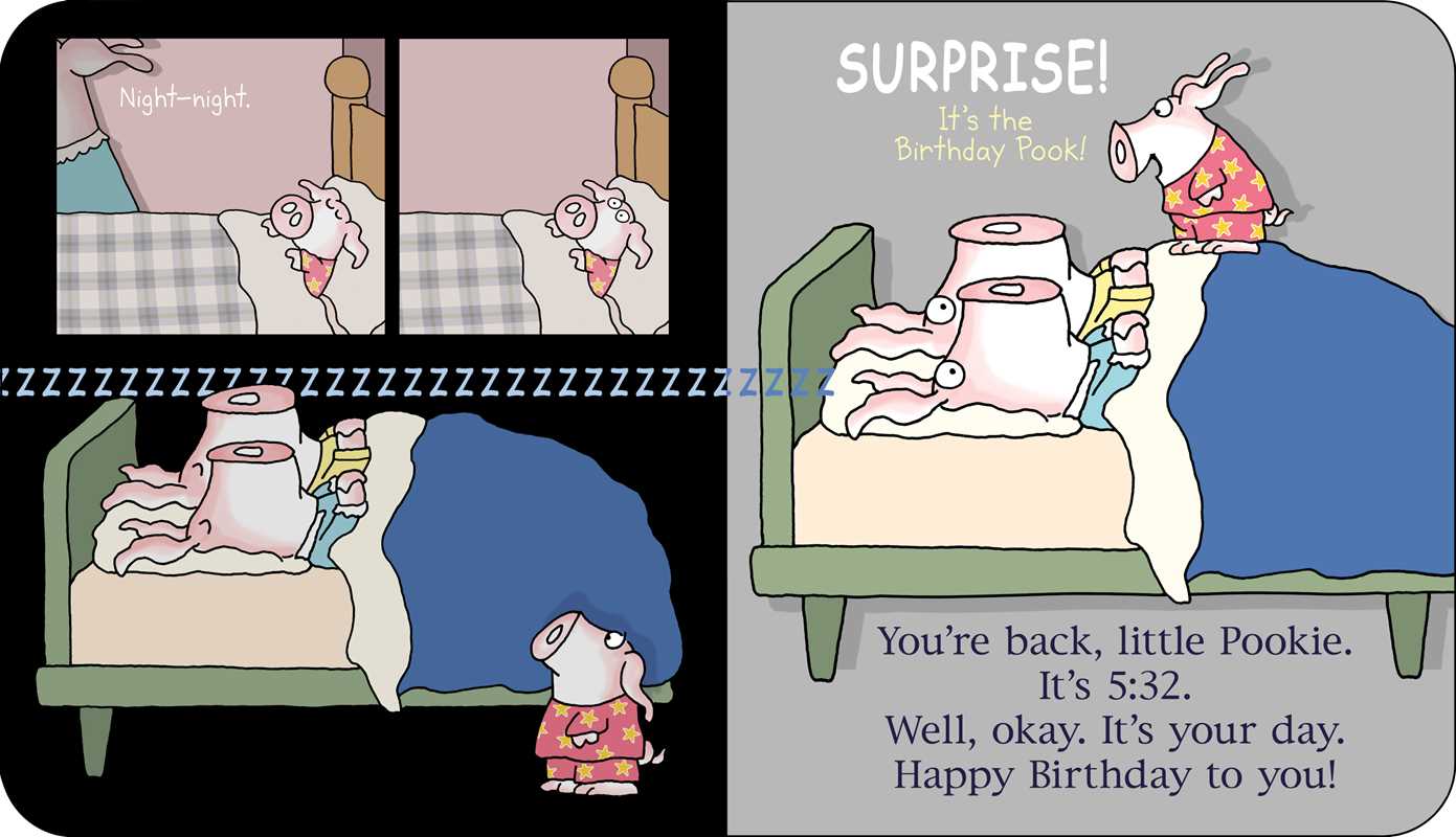 Happy Birthday, Little Pookie by Sandra Boynton: Board Books; 18 pages / English - Persnickety Shop