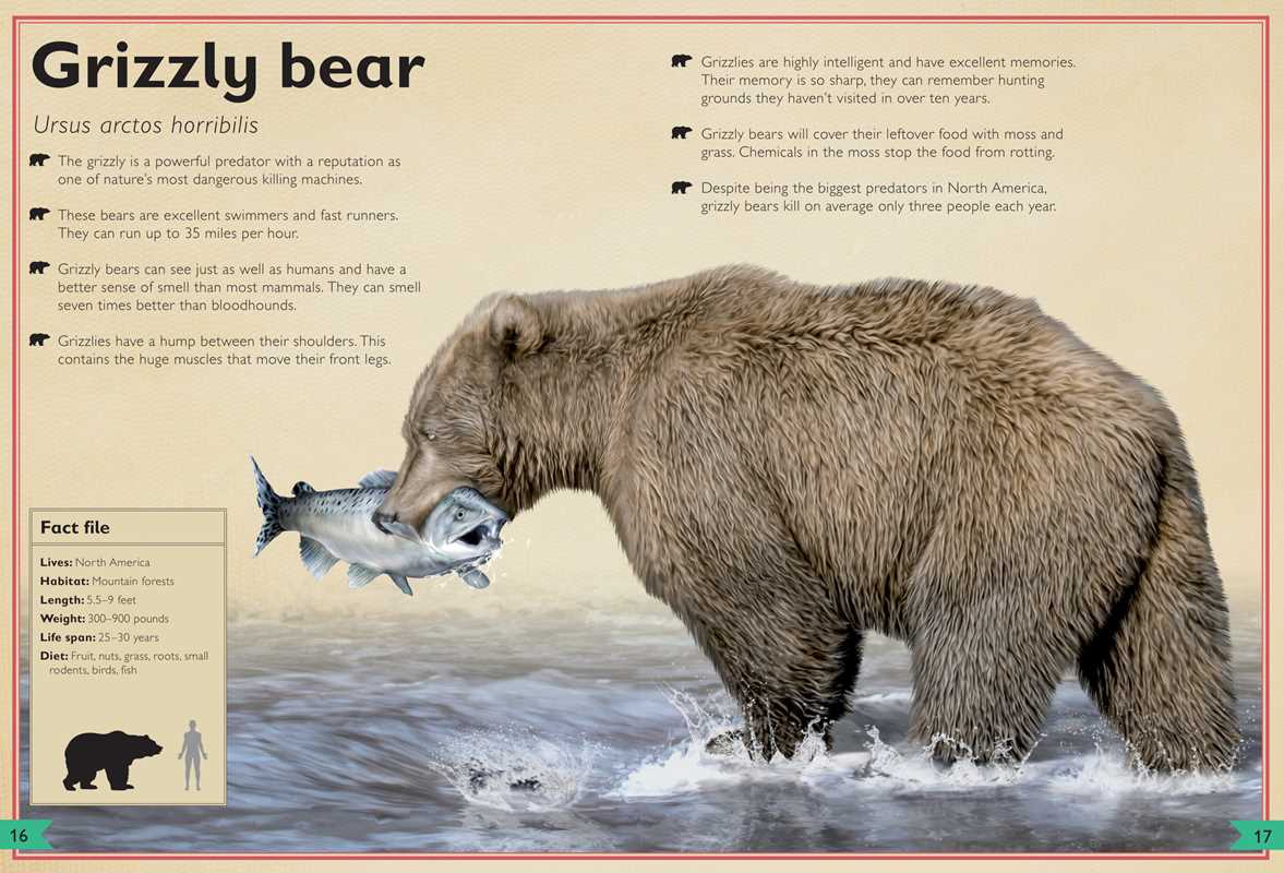 Magnificent Book of Dangerous Animals by Tom Jackson: Hardcover; 80 pages / English - Persnickety Shop