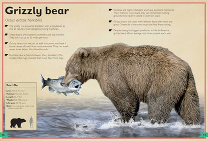 Magnificent Book of Dangerous Animals by Tom Jackson: Hardcover; 80 pages / English - Persnickety Shop