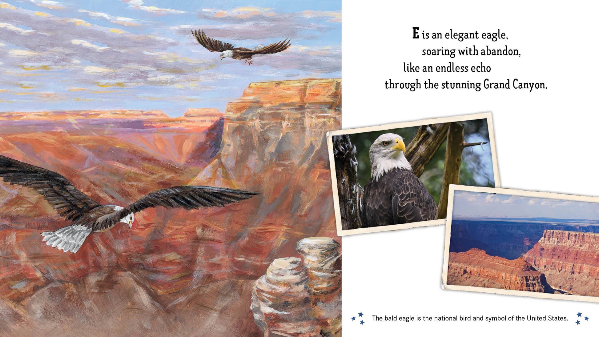 Land of the Free America's ABC Picture Book - Persnickety Shop