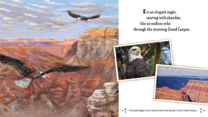 Land of the Free America's ABC Picture Book - Persnickety Shop