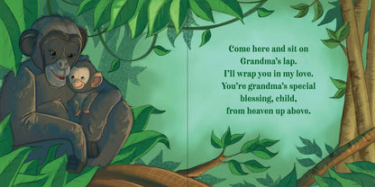 Grandma's Blessing by Michelle Medlock Adams: Hardcover; 32 pages / English