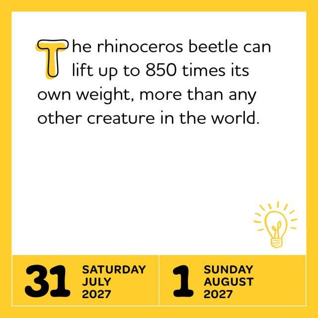 Interesting Facts for Curious Minds Page-A-Day® Calendar2027