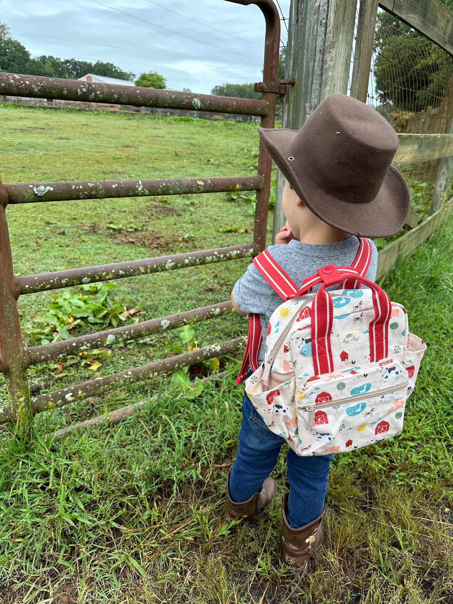 Itzy Bitzy Backpack: Ribbons + Roses