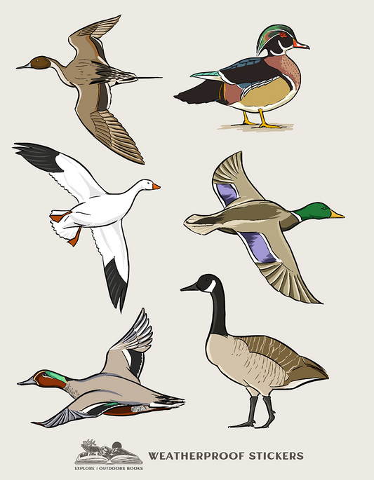 Waterfowl Weatherproof Sticker Sheet - Persnickety Shop