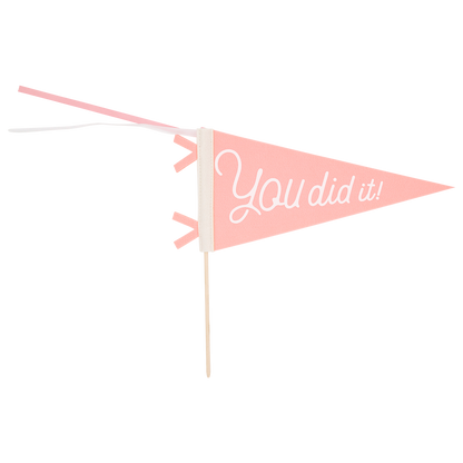 PLHB148 - Pink You Did It Felt Pennant Banner - Persnickety Shop