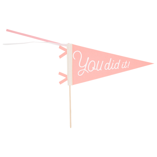 PLHB148 - Pink You Did It Felt Pennant Banner - Persnickety Shop