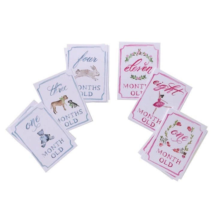 Monthly Milestone Card Set: Pink - Persnickety Shop