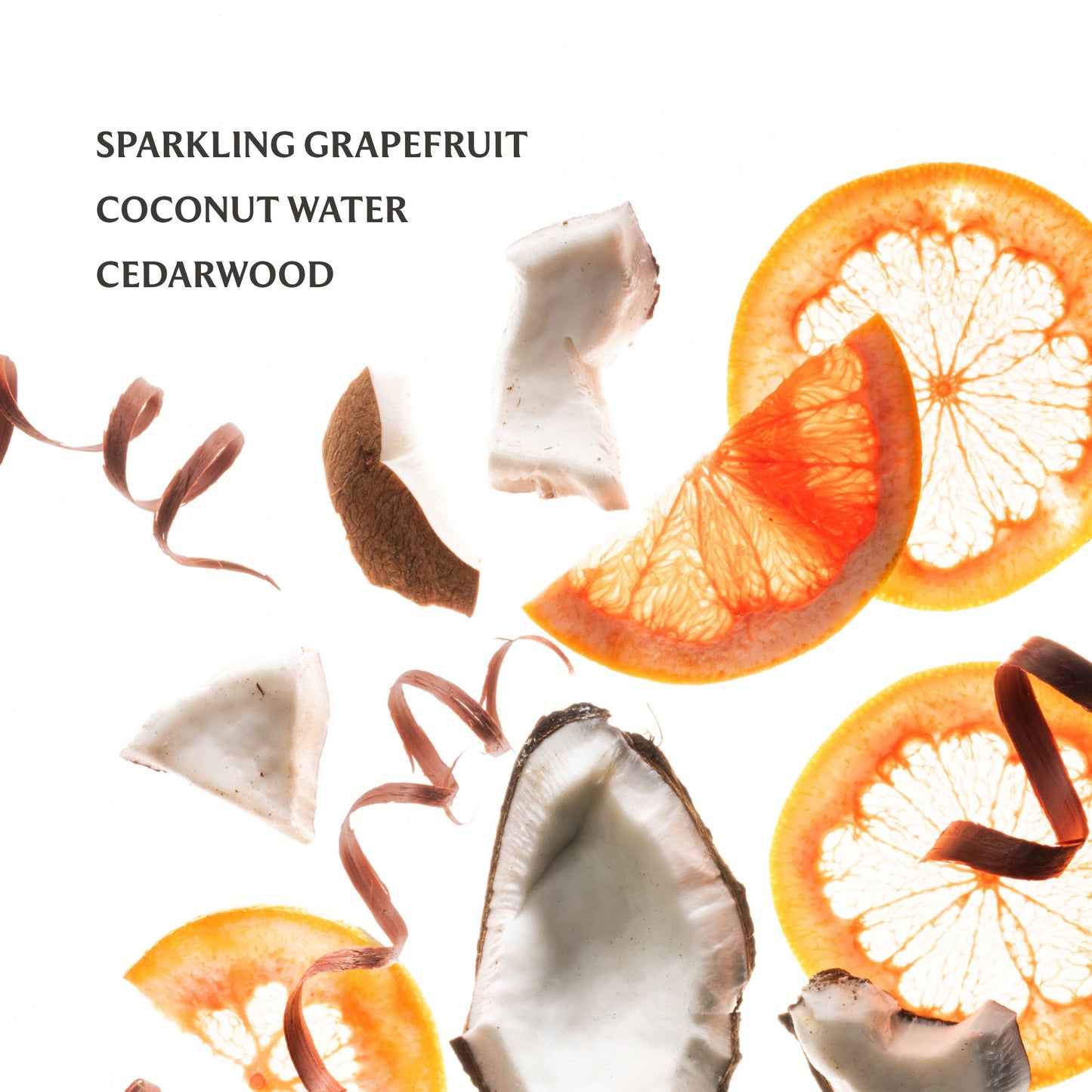 Beach Coco Power Mist Hydrating Hand Sanitizer - Persnickety Shop