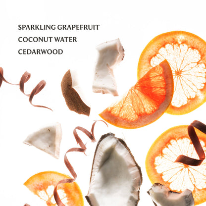 Beach Coco Power Mist Hydrating Hand Sanitizer - Persnickety Shop