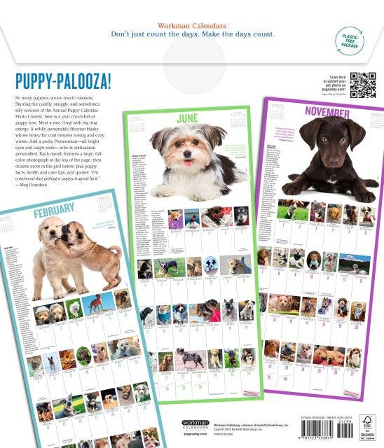 365 Puppies-A-Year Picture-A-Day® Wall Calendar 2027