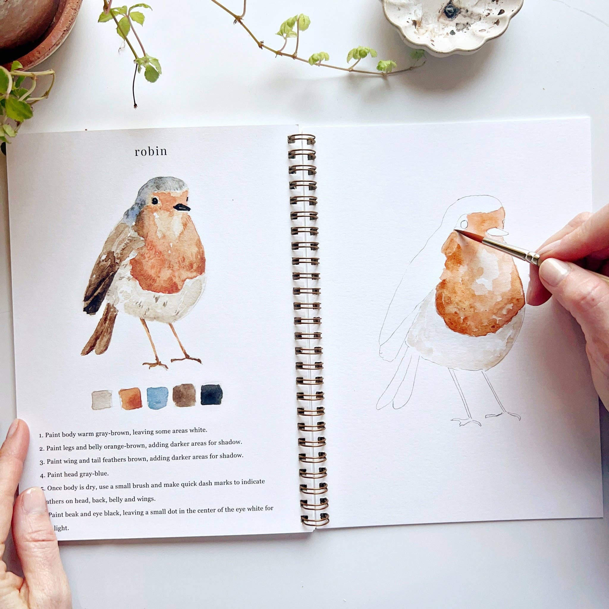 Birds watercolor workbook - Persnickety Shop