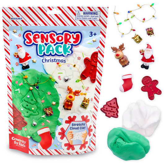 Sensory Pack Christmas Holiday Play Kit for Children