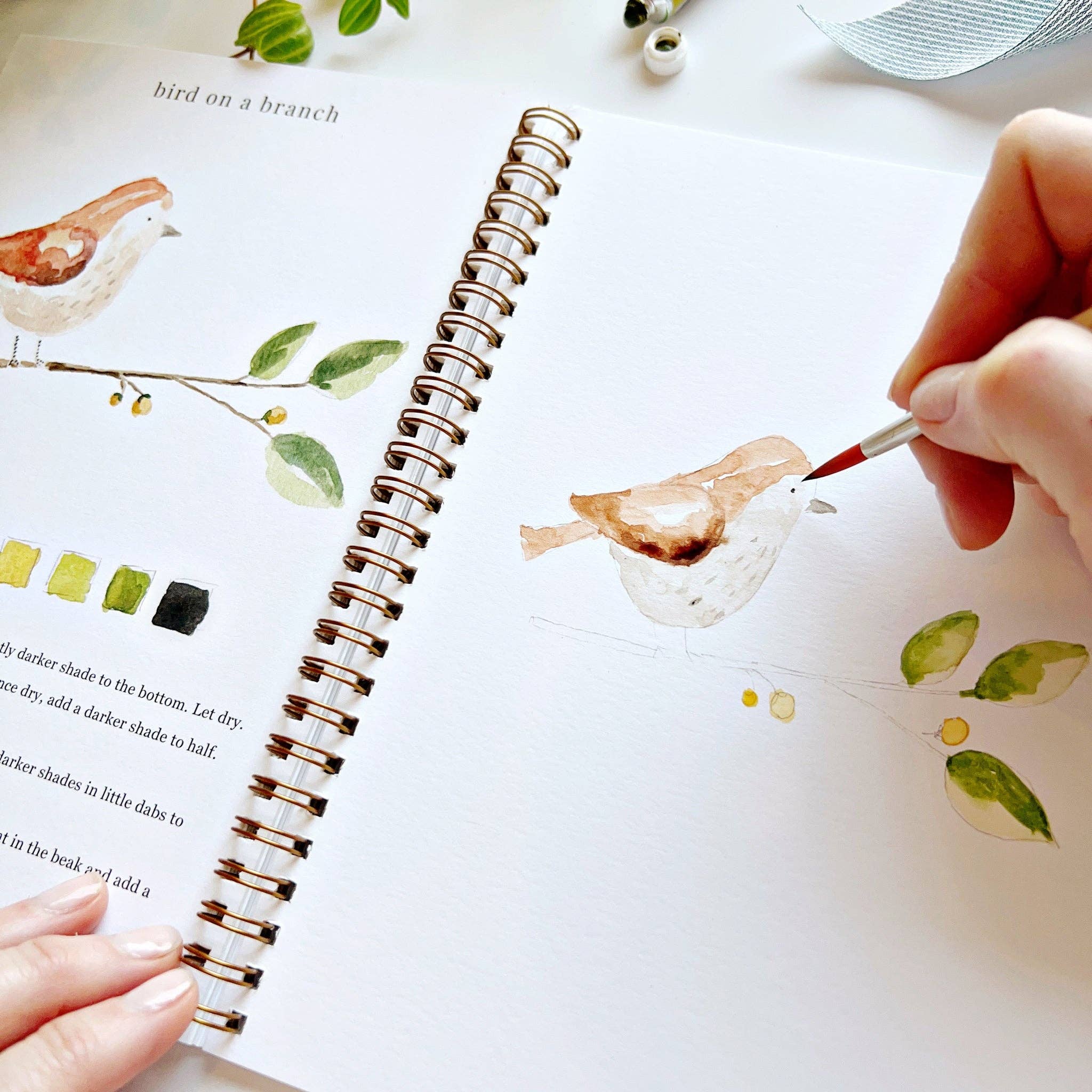 Animals watercolor workbook - Persnickety Shop