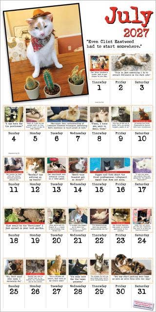 Bad Cat Wall Calendar 2027